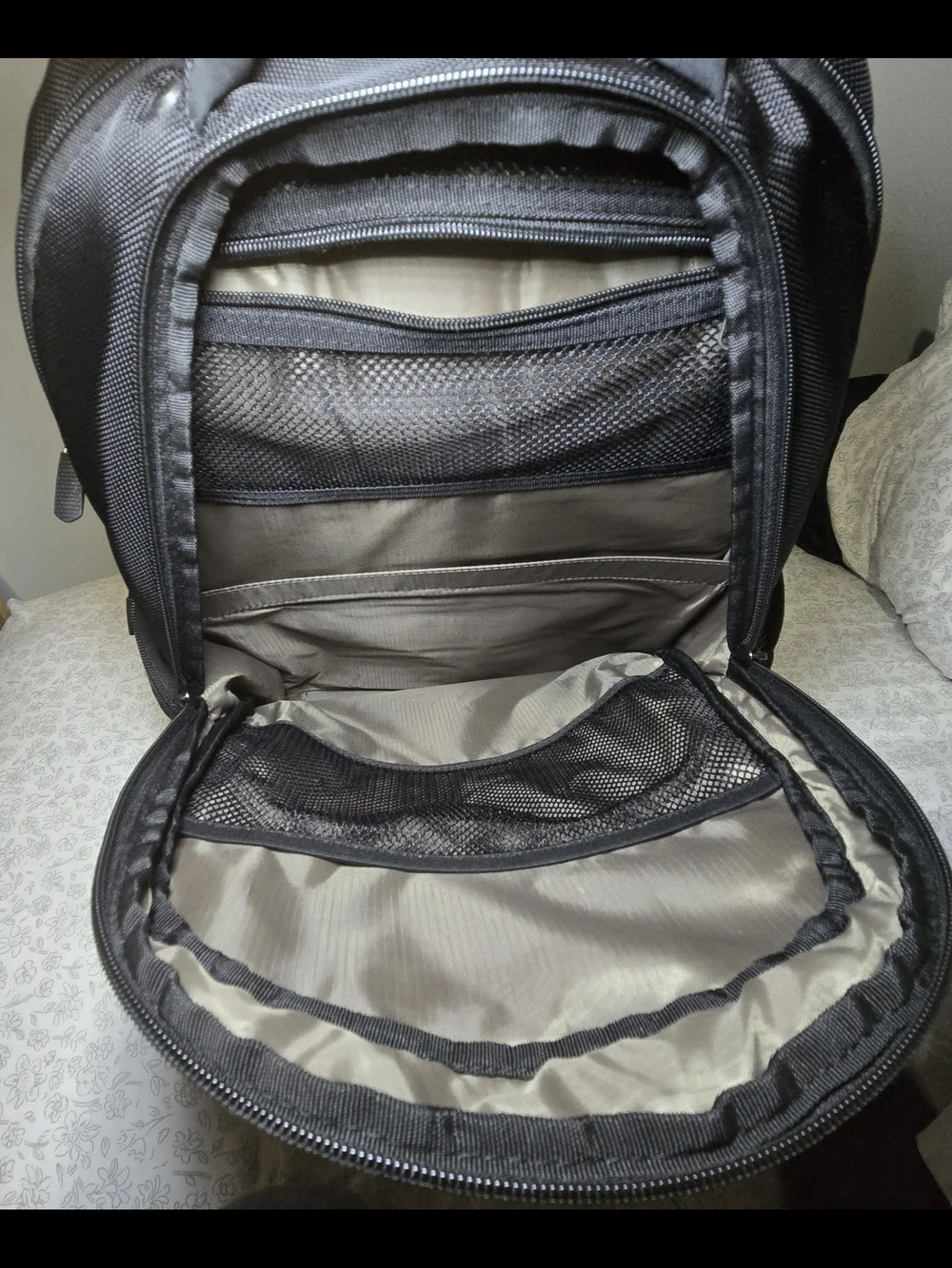 Targus Black Expandable Business Backpack